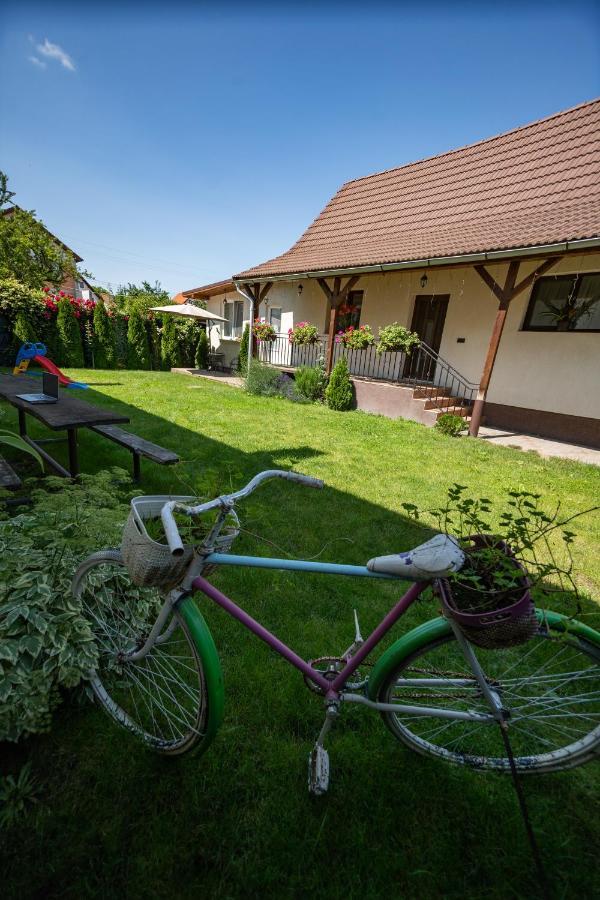 Villa Siebenbuerger Haus Hermannstadt Exterior foto